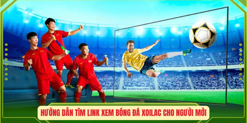 Hướng dẫn tìm link xem bóng đá XOILAC cho người mới