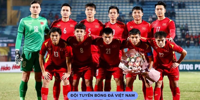 Đội tuyển bóng đá Việt Nam