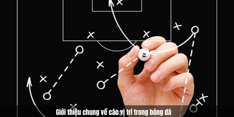 Giới thiệu chung về các vị trí trong bóng đá