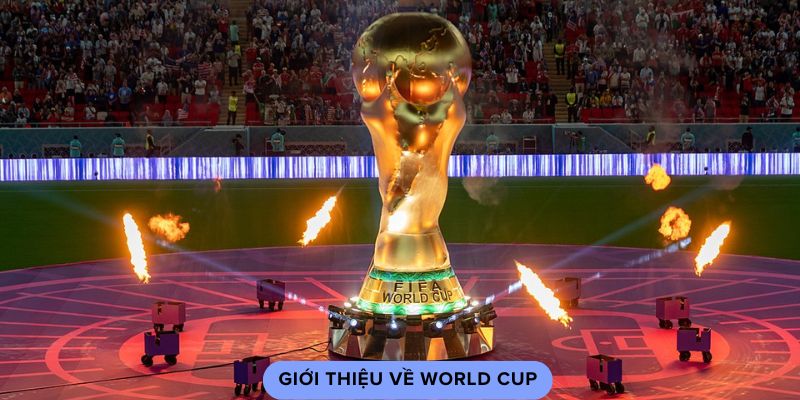 Giới thiệu về World Cup