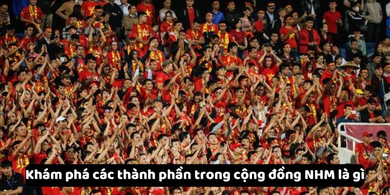 Khám phá các thành phần trong cộng đồng NHM là gì