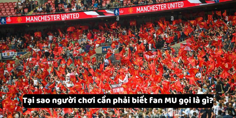 Tại sao người chơi cần phải biết fan MU gọi là gì?